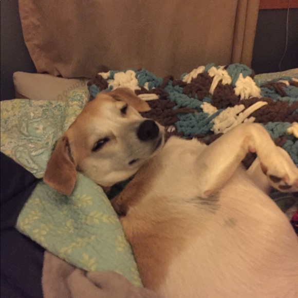 Meet your Posher, Katie - Picture 1 of 1